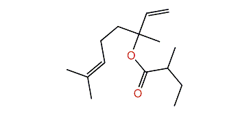 3,7-Dimethyl-1,6-octadien-3-yl 2-methylbutanoate